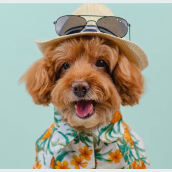 COPY - A little of everything - Picture 3 of 4